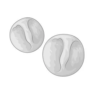 Cotton Pad illustration Stock Illustration