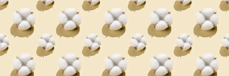 Cotton pattern on a light beige background. Stock Photos