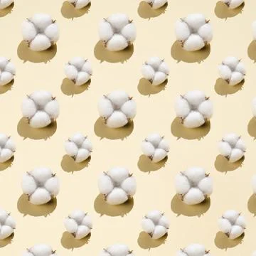 Cotton pattern on a light beige background. Stock Photos