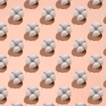 Cotton pattern on a light Peach Fuzz background. Cotton pattern on a light... 写真素材