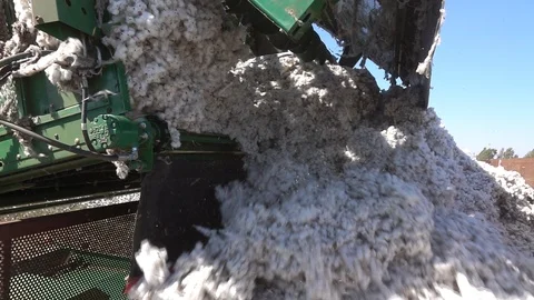 Cotton picker working in a field Stock Footage 95941657