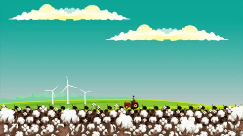 Cotton Picking And Workers Stock Footage 281455658