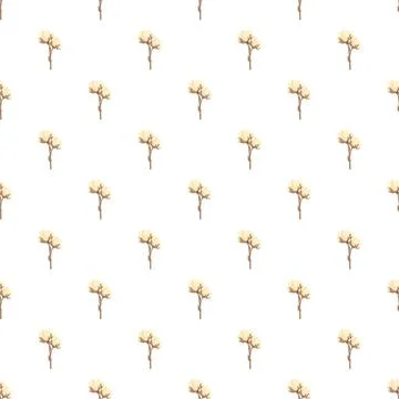 Cotton plant repeating pattern on white background Stock Illustration
