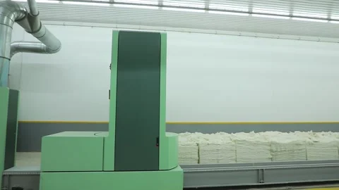 Cotton processing plant, cotton flooring. Rows, lines of cotton Stock Footage 208110436