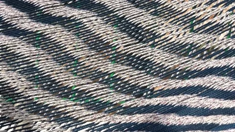 Cotton rope hammock slowly swing Stock Footage 160504875