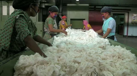 Cotton Sorting and Filtering Stock-Footage 10700985