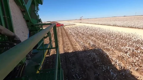 Cotton Stripper Bale Drop Stock Footage 317318863