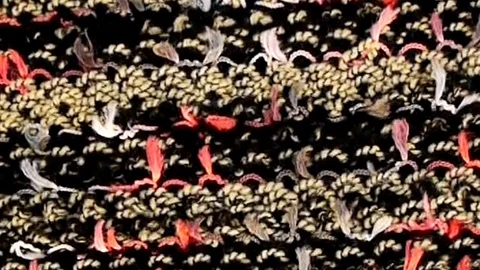 The Cotton texture. Stock Footage 115966463