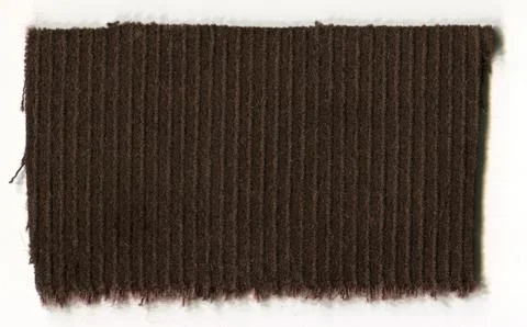 Cotton texture. Stock Photos