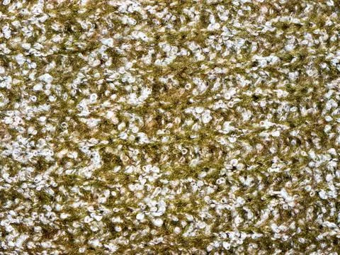 Cotton texture. 스톡 사진