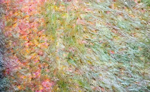 Cotton texture. Stock-Fotos