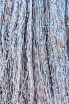 Cotton, Thread for weaving Stock-Fotos