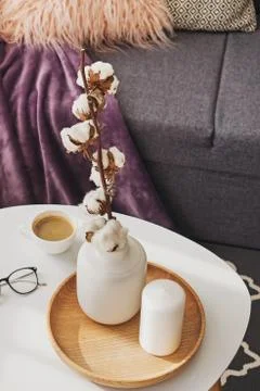Cotton twigs in a vase on small table Stock Photos