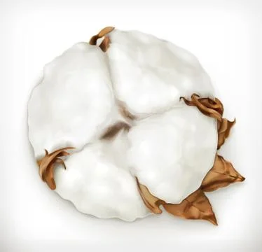 Cotton, vector icon Illustrazione stock