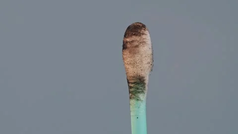 The cotton wool and plastic of the turquoise colored medical cotton bud burns Stock Footage 264405067