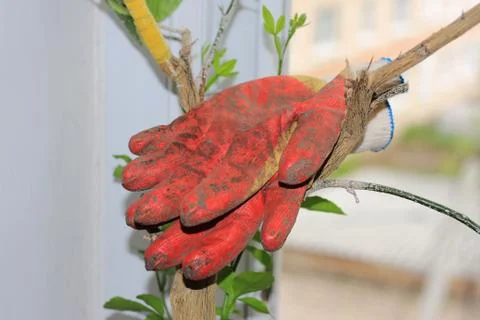 Cotton working gloves Stock-Fotos