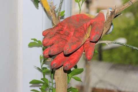 Cotton working gloves Foto stock