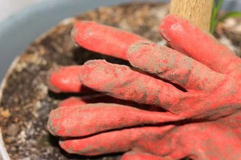 Cotton working gloves Foto stock