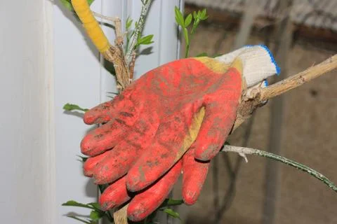 Cotton working gloves Foto stock