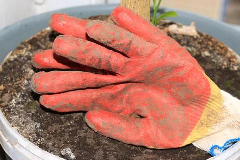Cotton working gloves Foto stock
