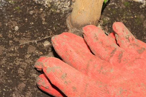 Cotton working gloves Stock Photos