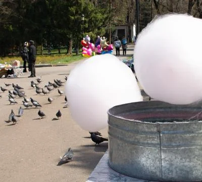 Cottoncandy round shape in the psrk Stock Photos