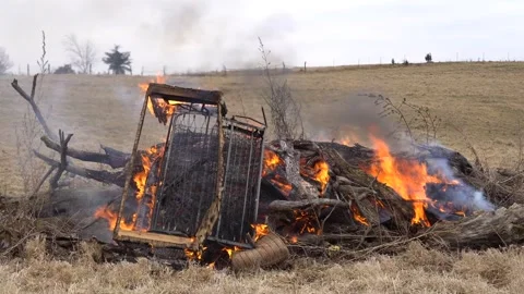 Couch and trees on fire burning in a field Stock Footage 248477278