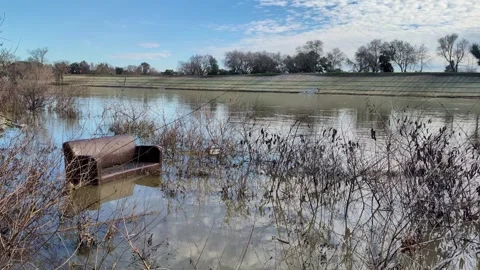 Couch floating in sacramento river Stock Footage 275007893