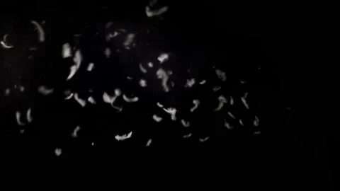 Couch Hit 4K Stock Footage 116778072
