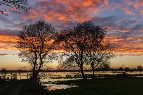 Coucher de soleil sur les champs inondés  le long de l étier de Vair coef 106 Video stock 322222261