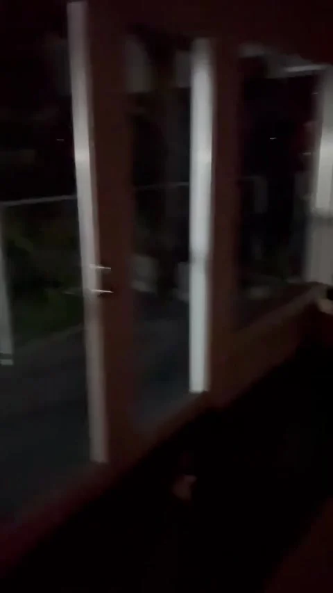 Cougar Caught Prowling on the Deck, North Saanich, British Columbia, Canada - 22 库存影片 346633306