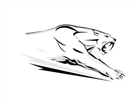 Cougar, Running cougar. attacking Cougar. Fearless Cougar. Stock Illustration