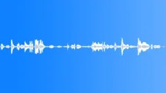COUGARSound Effect