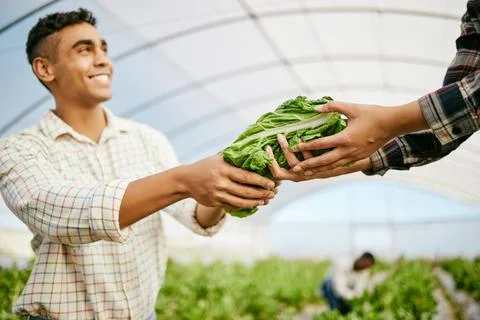 Couldnt do this alone. a young male farmer giving his coworker harvested produce Stock Photos