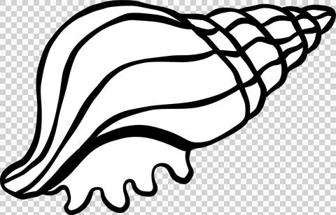 Counch shell seashell doodle outline, fisherman aesthetic Stock Illustration