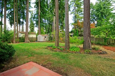 Counryside house backyard with trees Stock Photos