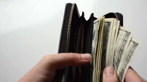Count money in the wallet Stock Footage 105220909
