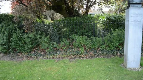 Countaous Markavich 動画素材 10906274