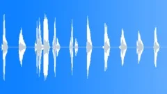 Countdown 10 Seconds ( Woman )Sound Effect
