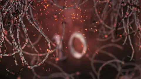 Countdown Barber Wire 스톡 After Effects