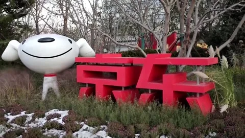Countdown to Singles Day in China begins, CHINA, CN - 09 Nov 2021 Stock Footage 204071110