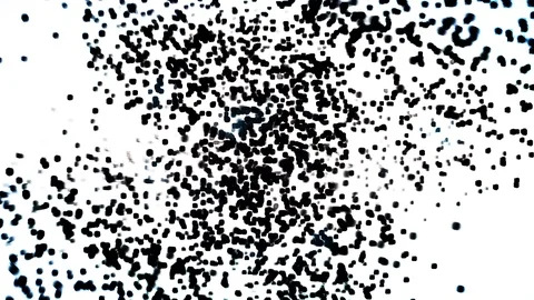 Countdown Timer - Magic 스톡 동영상 88359444