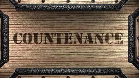 Countenance on wooden stamp Stock-Footage 8763028