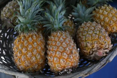 On the counter in the basket are pineapples Stock Photos