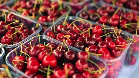 A counter with a lot of cherries in containers Stock Footage 201154718