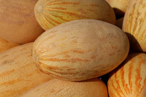 Counter with melons Stock Photos