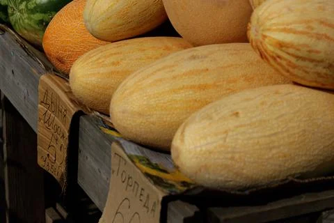 Counter with melons Stock Photos