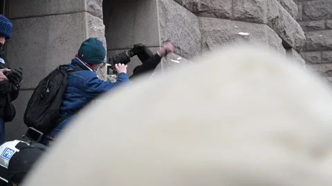 Counter protesters surround Jake Lang, a right-wing conservative activist Видео 327868528