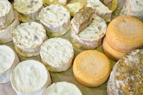 A counter with various types of hand-made cheeses. Stock Photos
