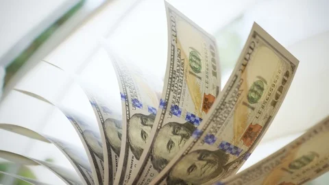 Counting 100 dolar bills Video stock 81249921